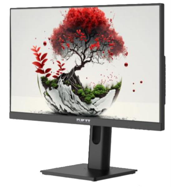 Монитор RDW2401K 1920x1080(FHD) IPS 100Hz 5мс 178°/178 250cd 1000:1 VGA HDMI DP 1*USB-B, 4*USB-A Рег. по высоте, Портретный режим, Поворот вокруг своей оси Наклон, внешний БП, Динамики, VVESA 100*100, МПТ