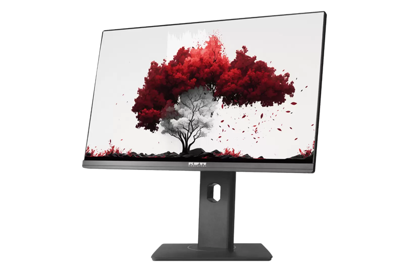 Монитор RDW 2402K (F00B3) 23,8" Monitor 1920x1080, IPS, 16:9, 250cd/m2, 1000:1, 5ms, 178°/178°, 75Гц, HDMI, DP, -5° /~23°, регулировка по высоте 130мм, веб-камера, внешний БП, МПТ