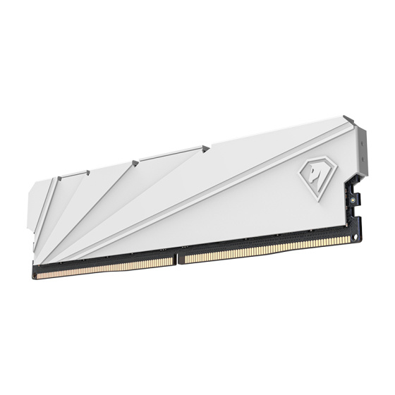 Оперативная память Netac Shadow S 8GB DDR4-2666 (PC4-21300) C19 19-19-19-43 1.2V Memory module (DIMM) White