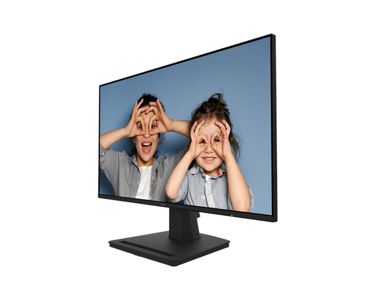 MSI PRO MP252 24.5" 16:9 FHD(1920x1080) IPS Flat,1ms(MPRT),1300:1,100M:1,300nit,178/178,HDMI 1.4,DP 1.2a,Speaker, Tilt, VESA,100Hz,Black,1y war-ty