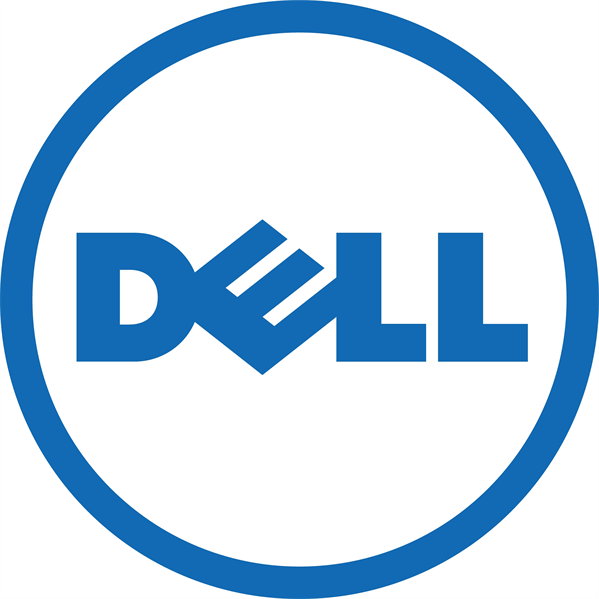 DELL 960GB SFF 2,5" SSD Read Intensive SAS 12Gbps 512e Hot-plug drive for G14/G15