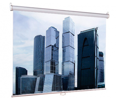 Экран настенный Eco Picture (200х200), рабочая область (200х200), Matte White