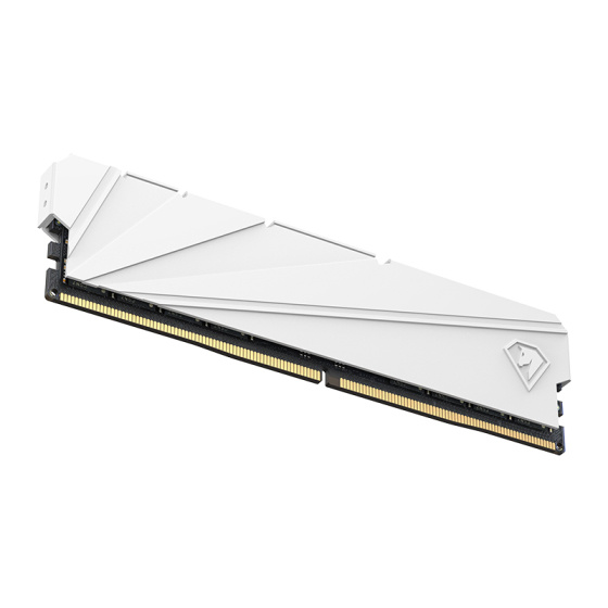 Оперативная память Netac Shadow S 8GB DDR4-2666 (PC4-21300) C19 19-19-19-43 1.2V Memory module (DIMM) White