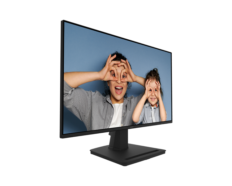 MSI PRO MP252 24.5" 16:9 FHD(1920x1080) IPS Flat,1ms(MPRT),1300:1,100M:1,300nit,178/178,HDMI 1.4,DP 1.2a,Speaker, Tilt, VESA,100Hz,Black,1y war-ty